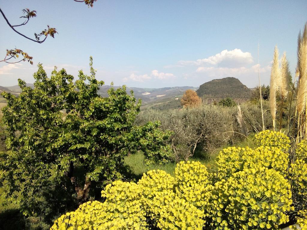 Villa Il Palazzino Volterra Zewnętrze zdjęcie